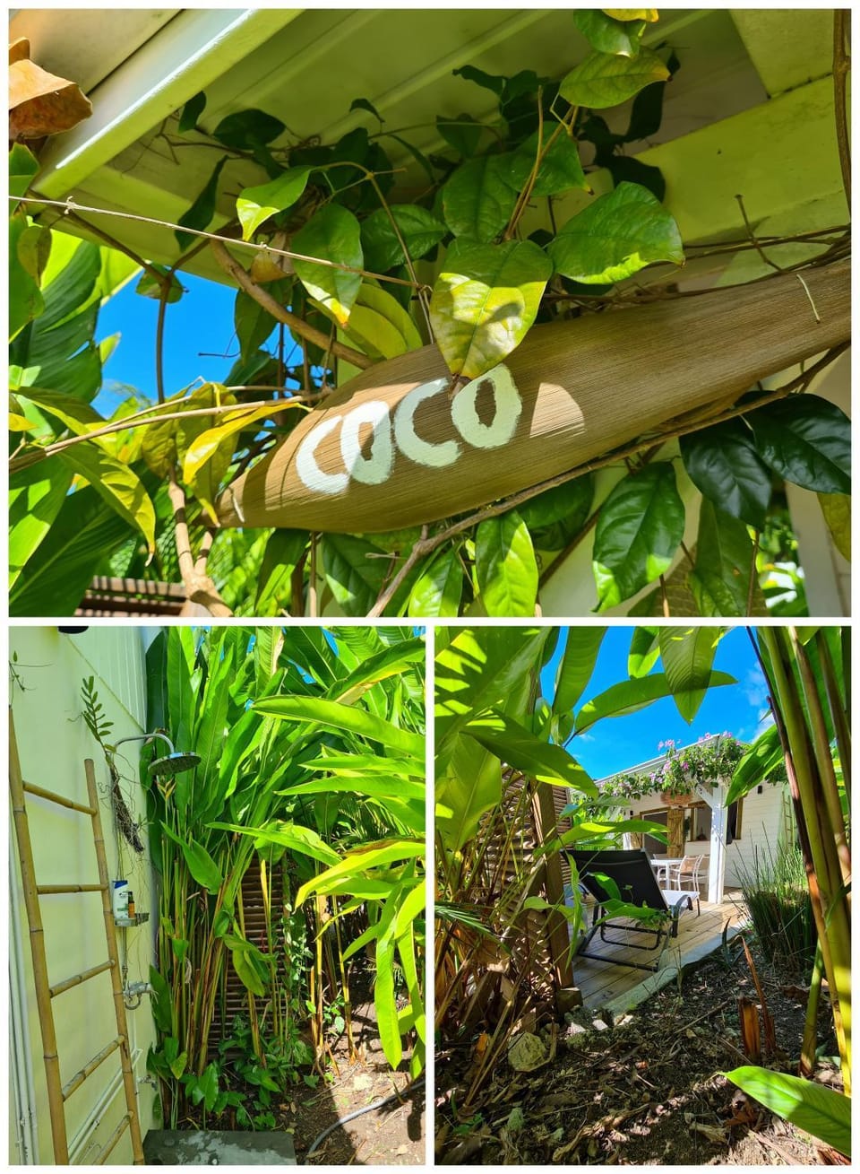 Garden view
