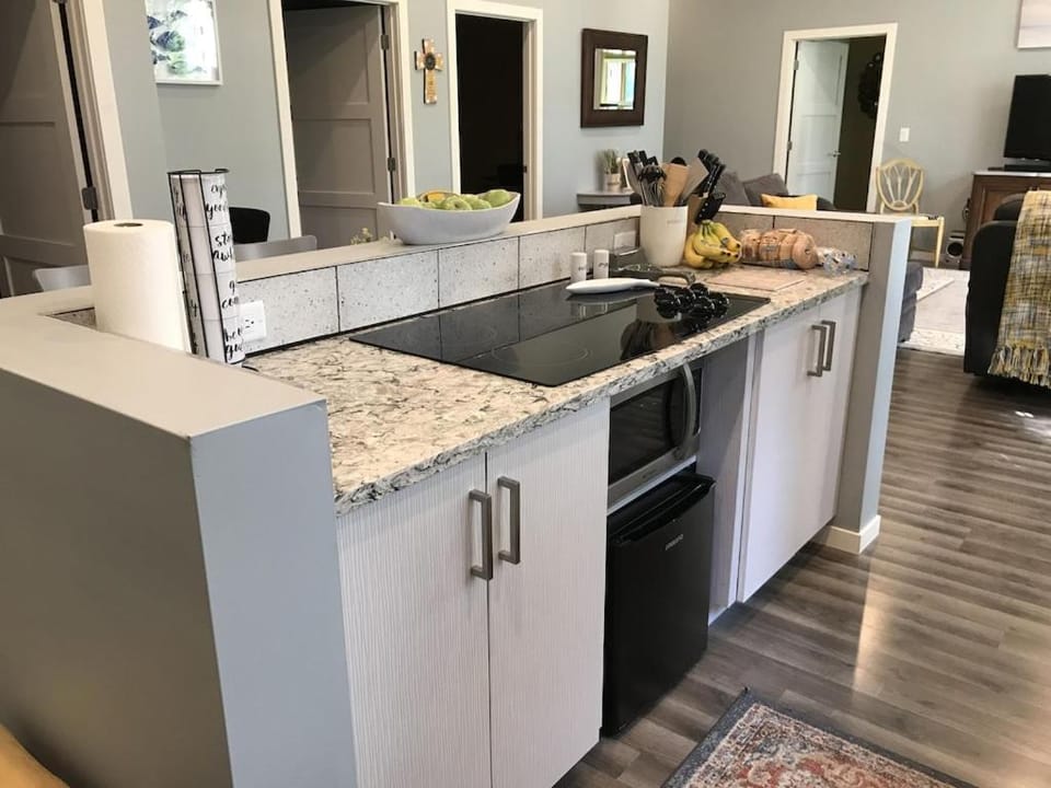 Kitchen or kitchenette, microwave, minibar, stove