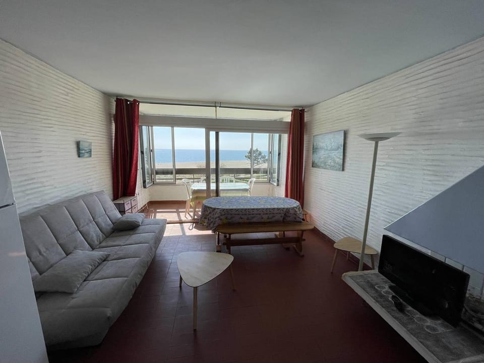 Appartement T2 avec 6 couchages, animaux admis, parking, wifi - FR-1-106-75 Apartment in Saint-Cyprien