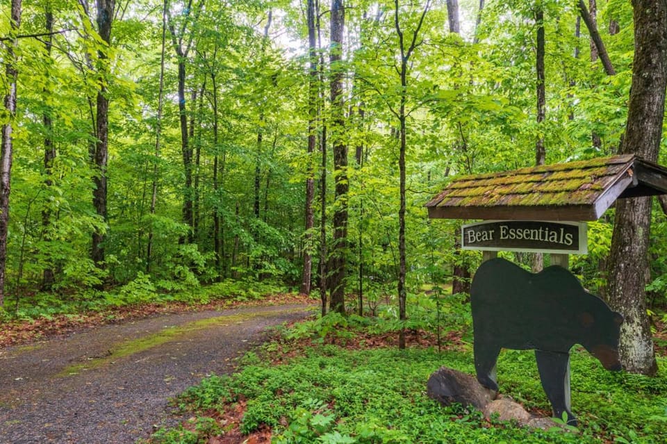 Bear Essentials Hideaway House in Huntsville