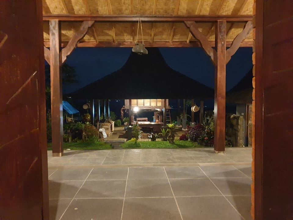 Night, Garden view