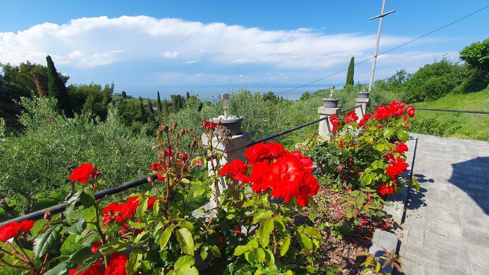 Day, Natural landscape, Garden, Garden view