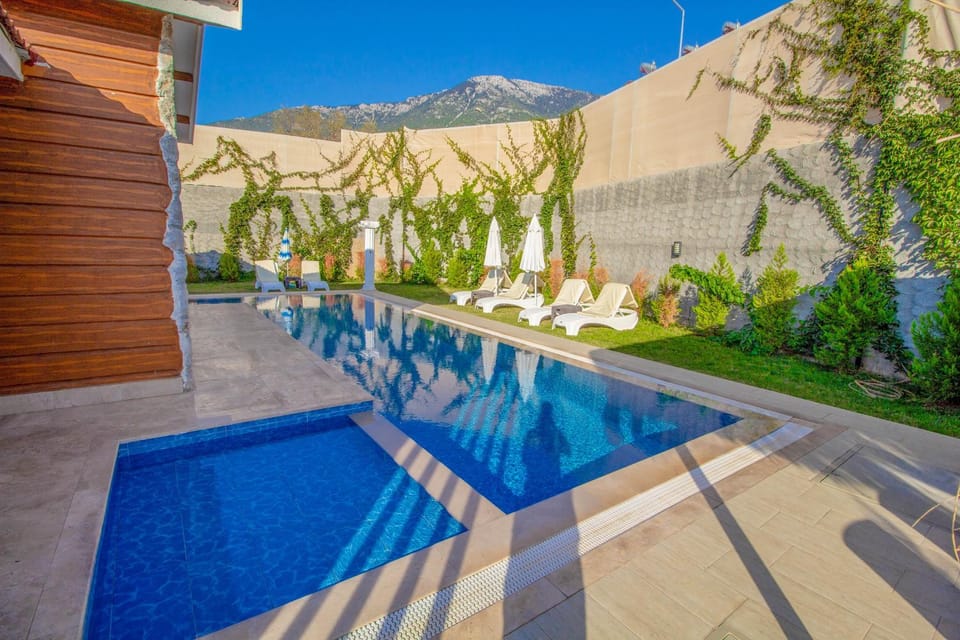 Garden, Garden, Swimming pool, sunbed