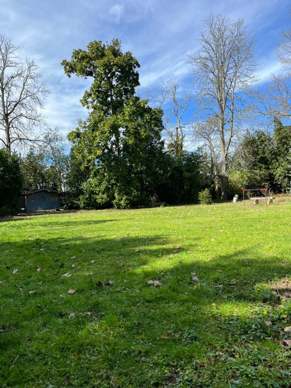 Garden view