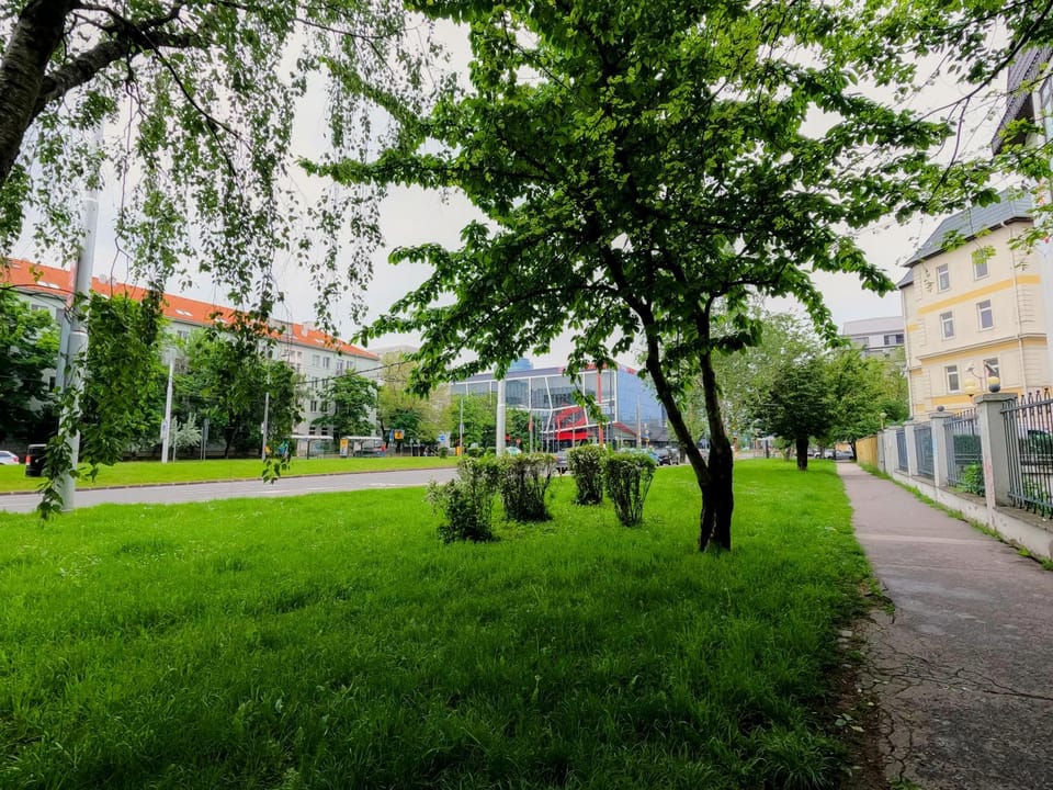 Spring, Day, Neighbourhood, Street view