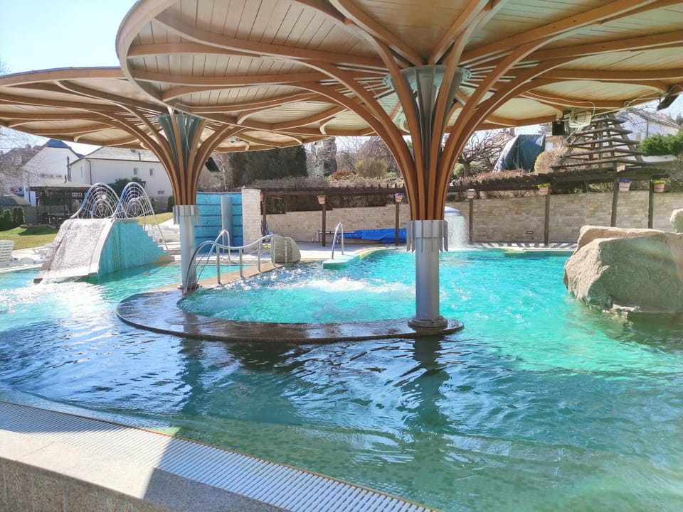 Spa and wellness centre/facilities, Swimming pool