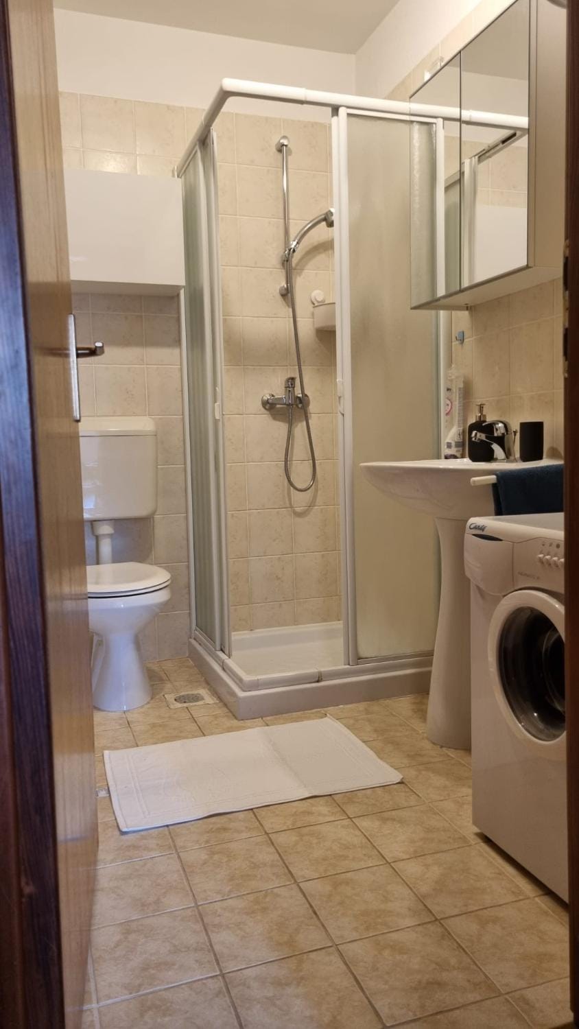 Old Harbour Apartment in Novigrad