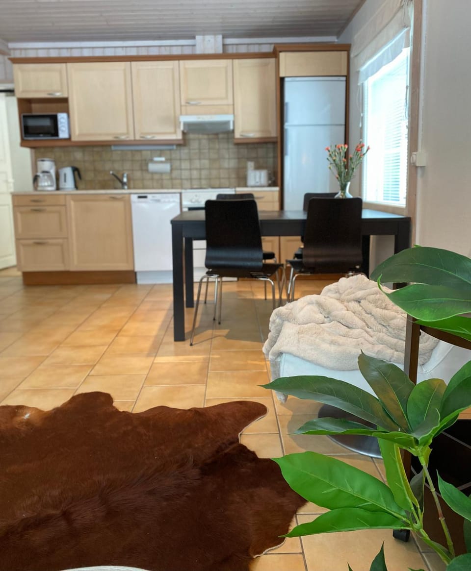 Iso-Syötteen Pilikki Chalet in Lapland