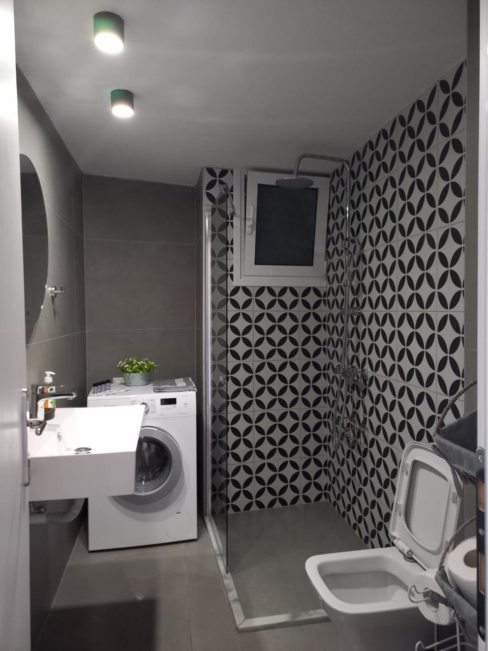 Shower, Toilet, washing machine