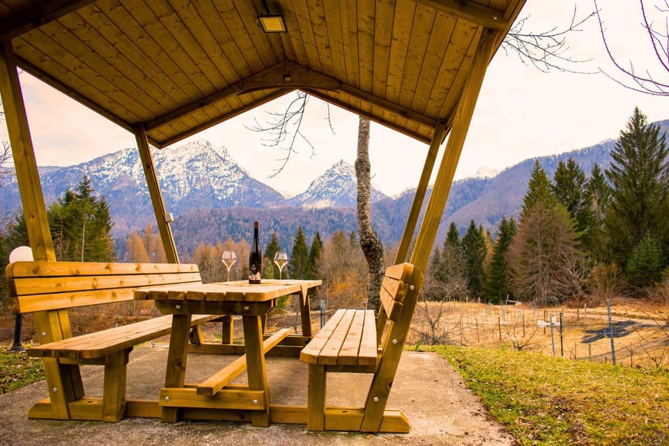 Patio, Natural landscape, Dining area, Mountain view