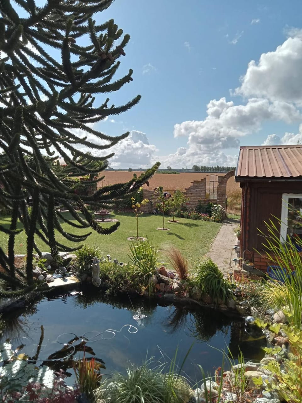 Spring, Natural landscape, Garden, Garden view