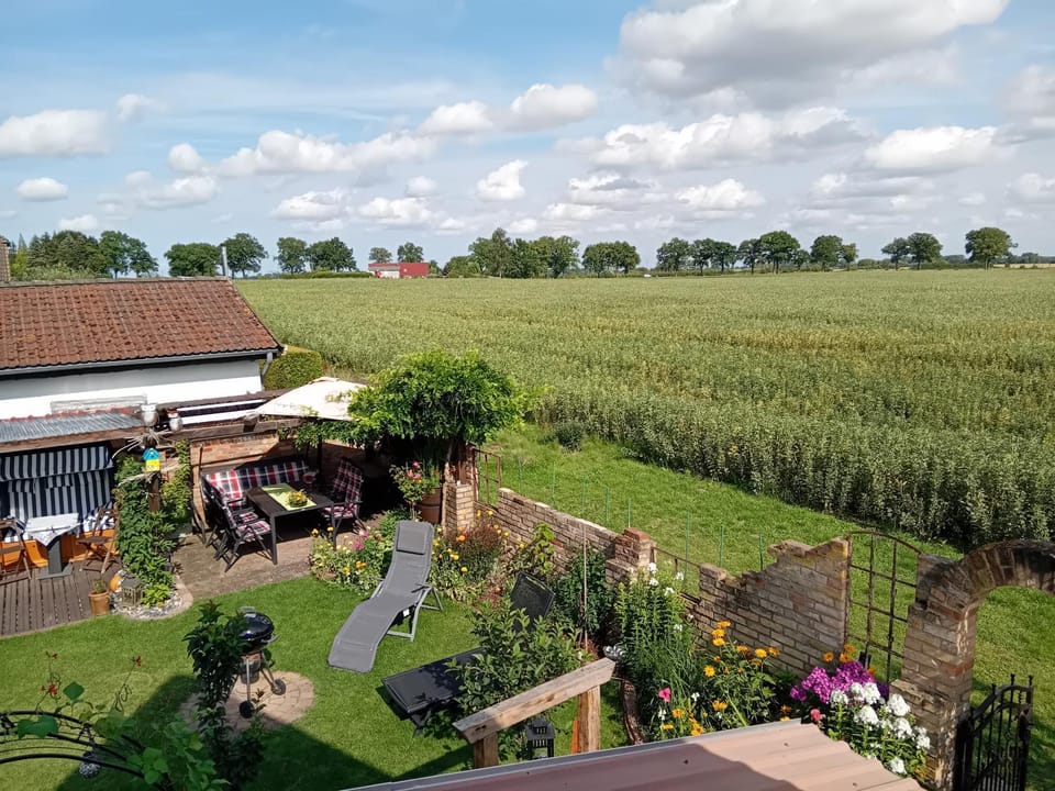 Natural landscape, Garden view