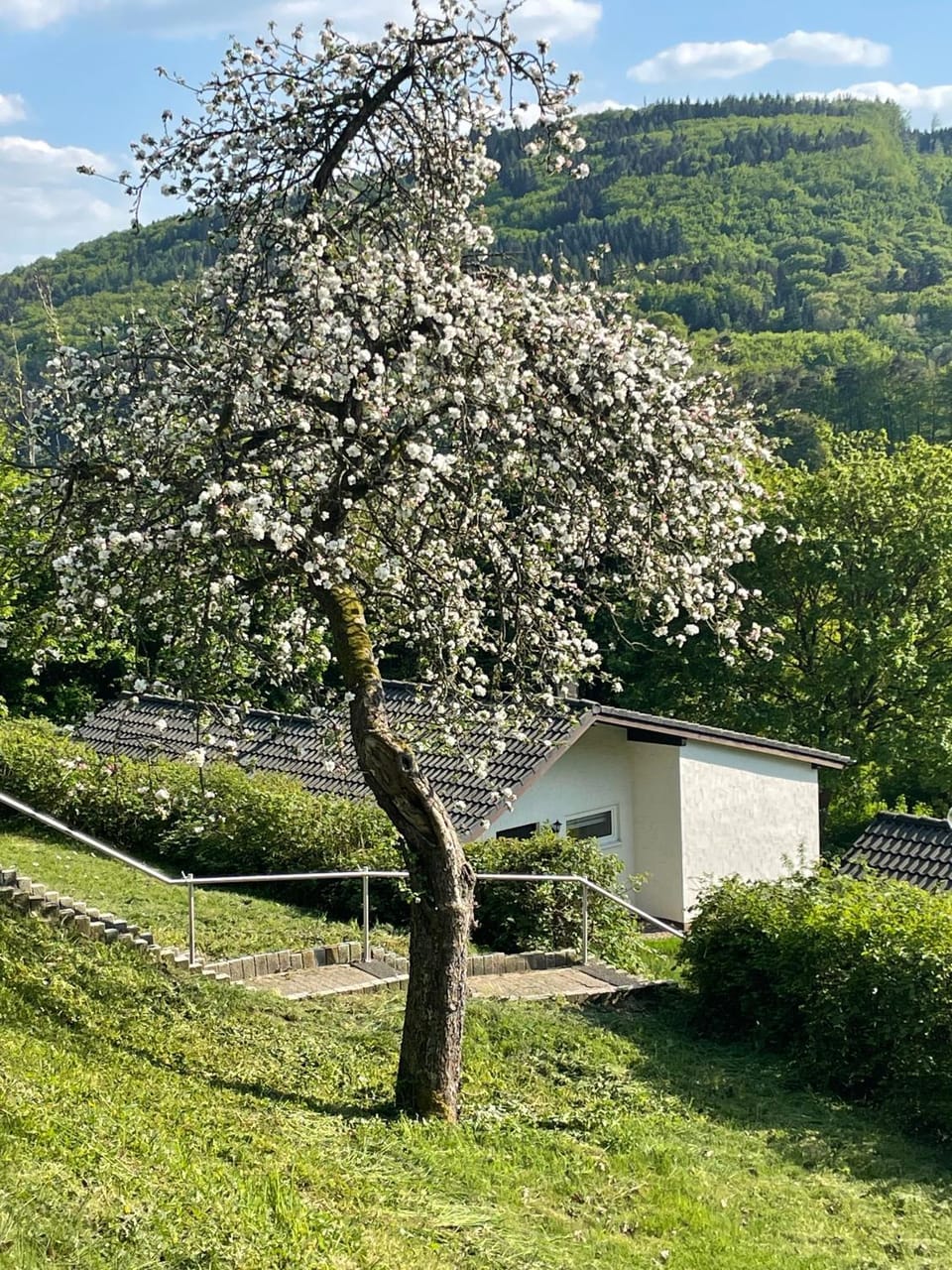 Landhaus am See 934 House in Rhineland-Palatinate