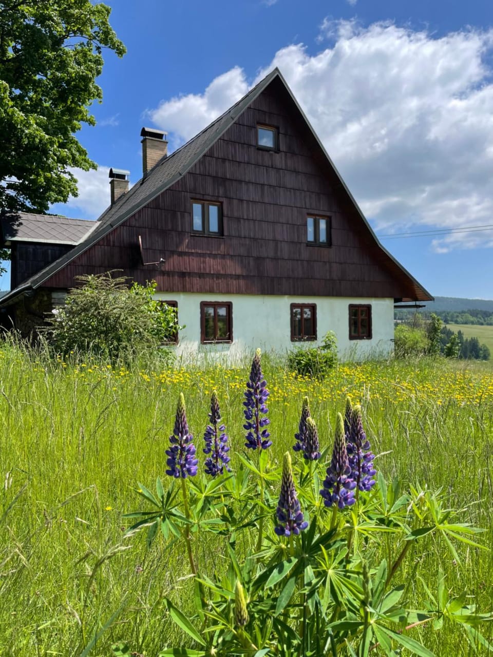 Property building, Spring, Natural landscape