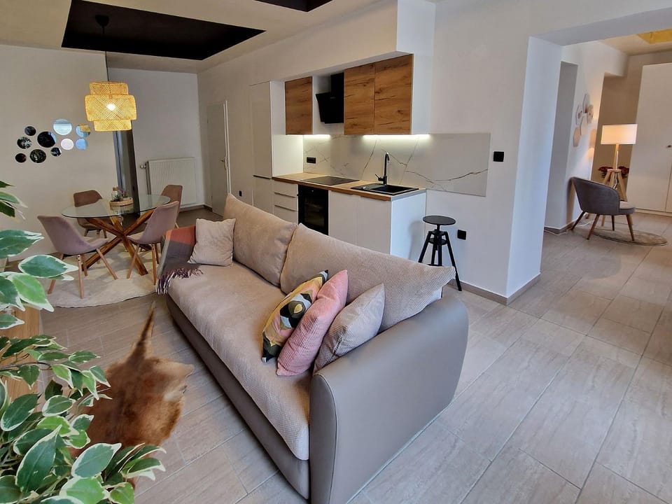 Living room, kitchen