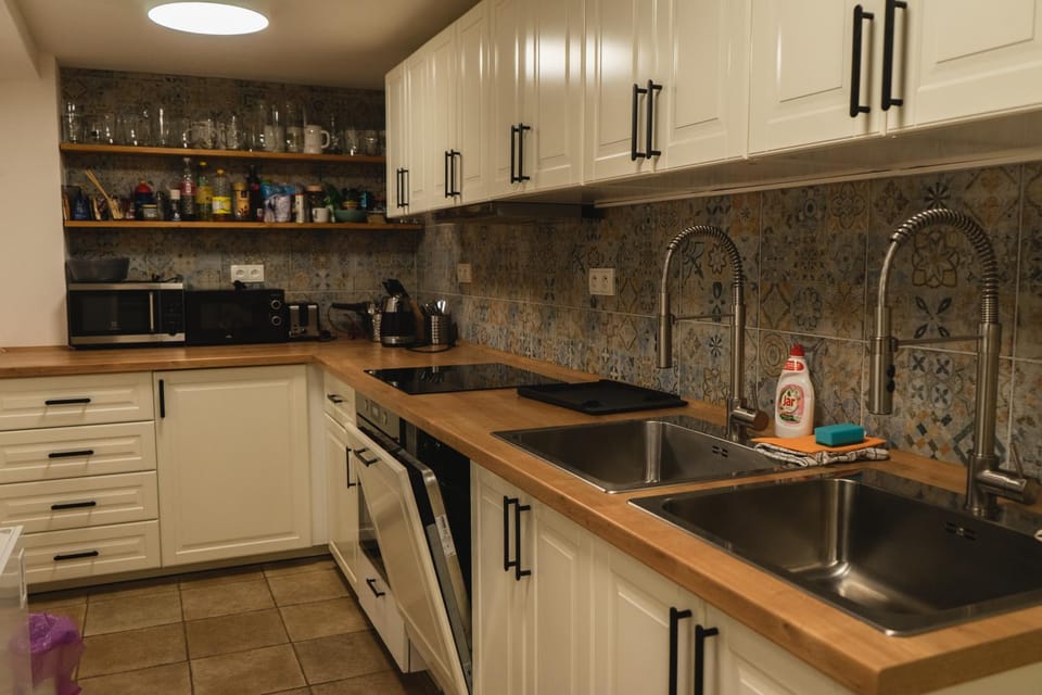 Kitchen or kitchenette, dishwasher, minibar, pet friendly, stove