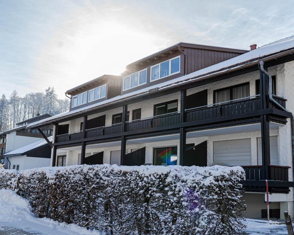 Property building, Winter