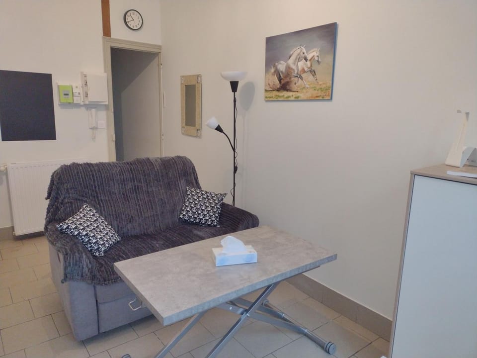 Appartement RDC chez Caroline Apartment in Vosges