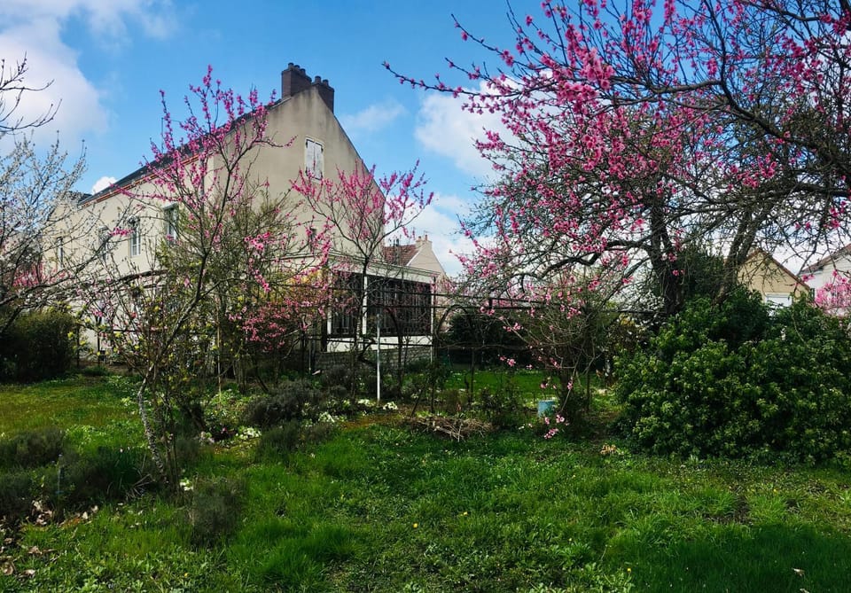 Property building, Garden, View (from property/room), Balcony/Terrace, Garden view