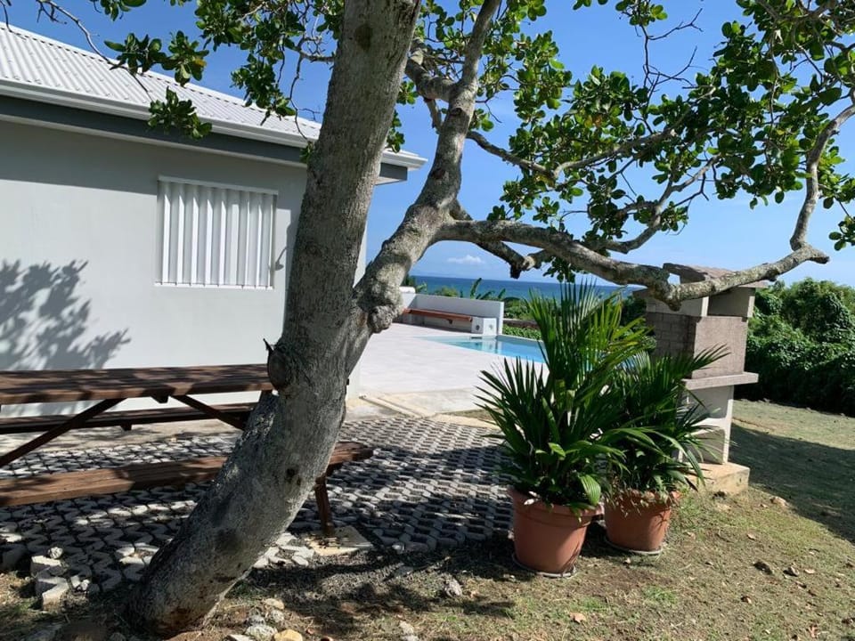 Property building, Garden, Swimming pool