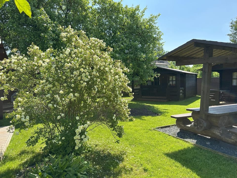Natural landscape, Garden, Garden view
