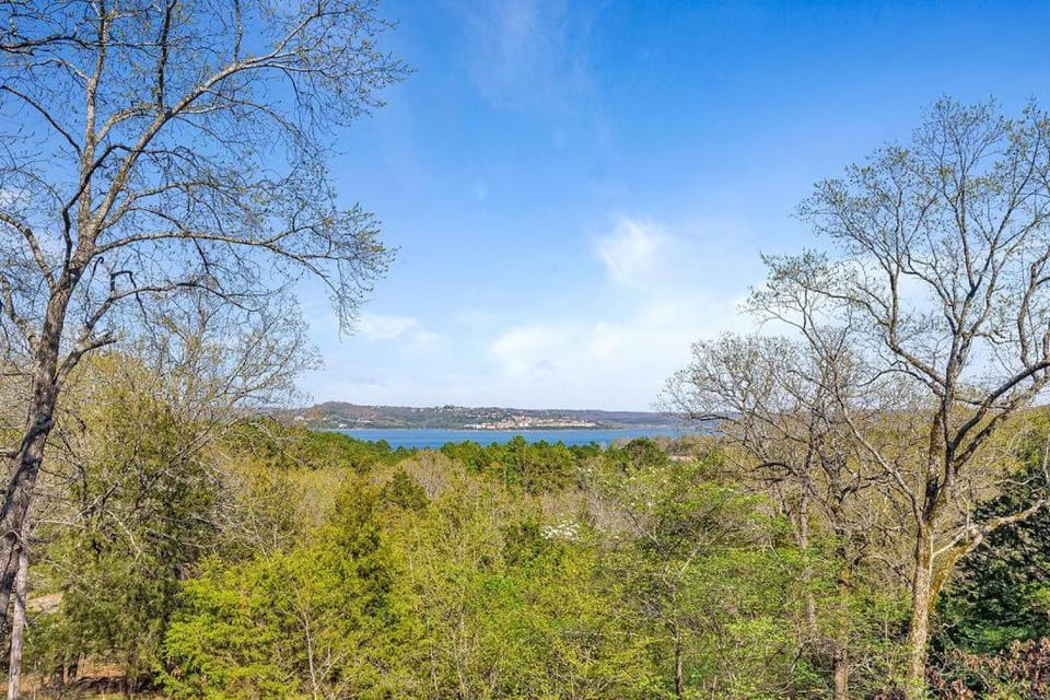 Once Upon A View House in Table Rock Lake