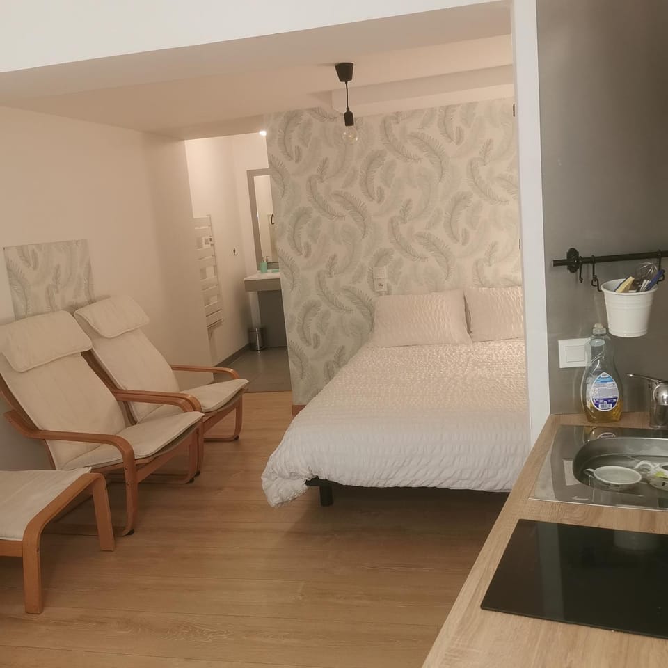 Aux Portes des Thermes Apartment in Occitanie