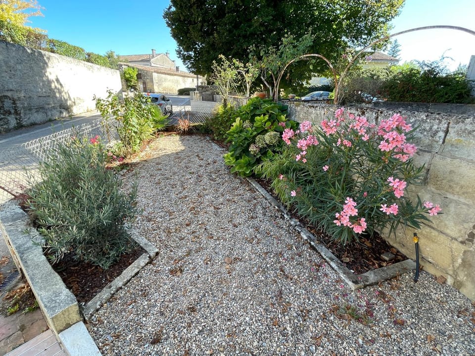 Garden, City view