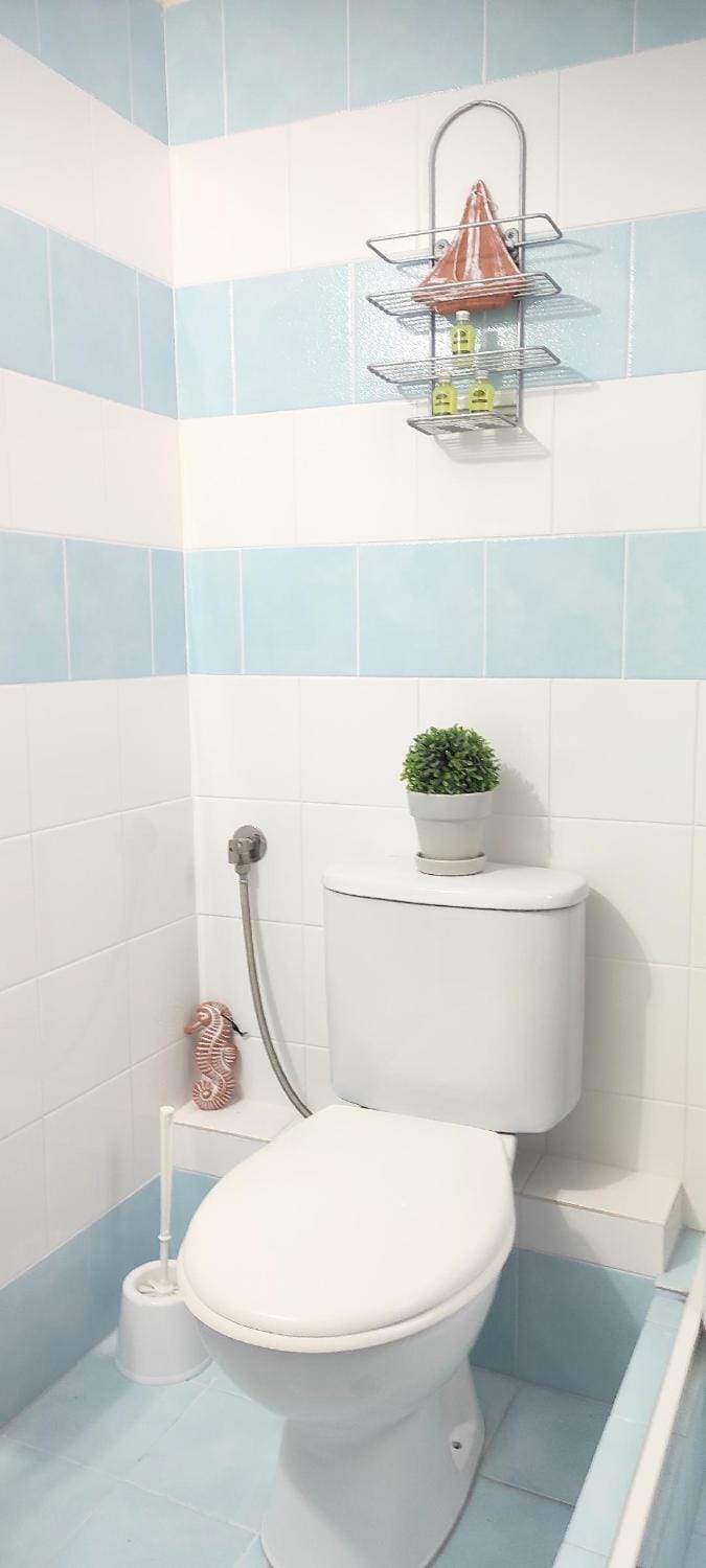 Toilet, Bathroom