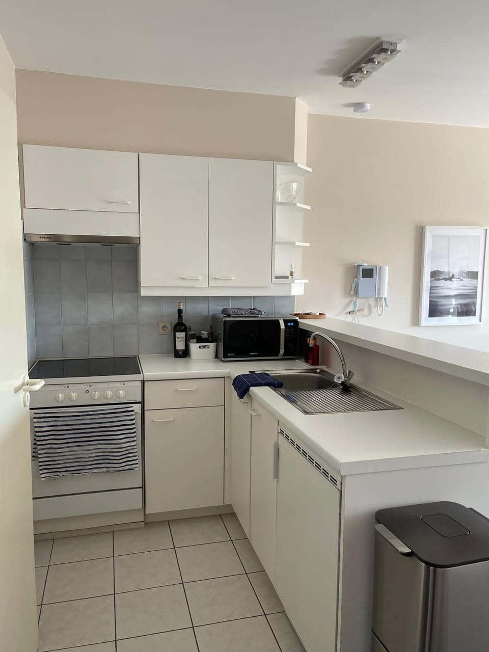 Kitchen or kitchenette, minibar, pet friendly, stove