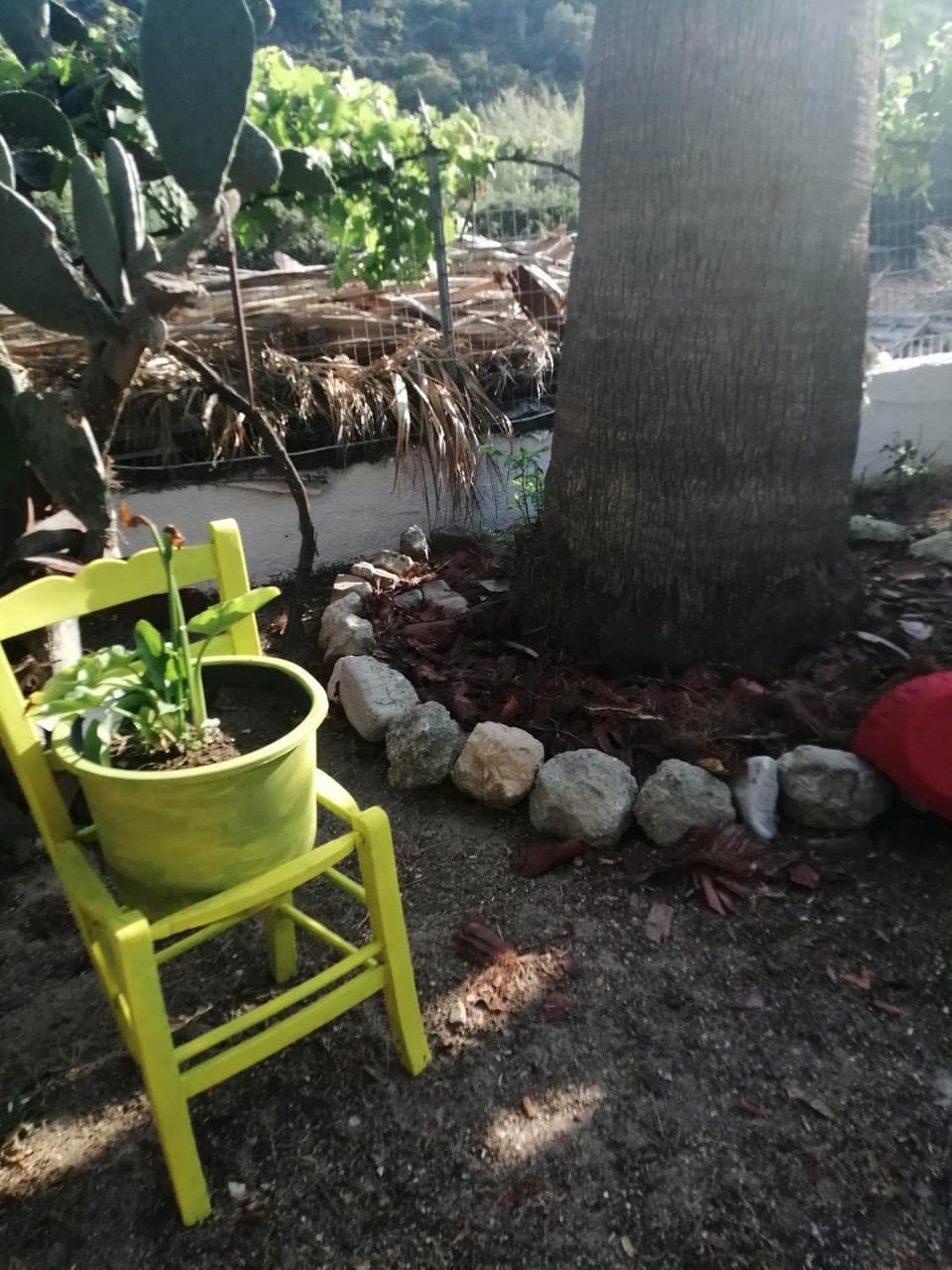 Dionisia apartments 8 Apartment in Kefalos