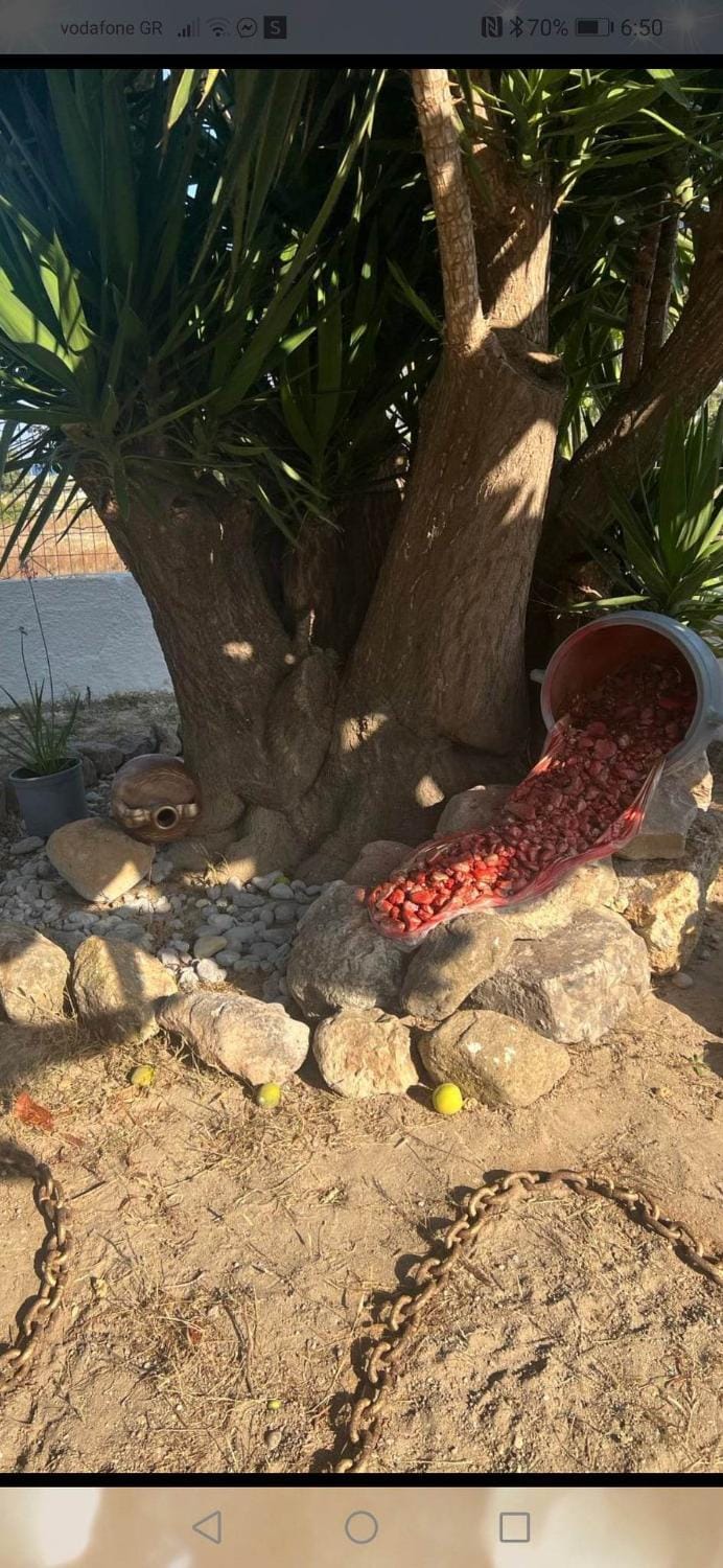 Dionisia apartments 8 Apartment in Kefalos