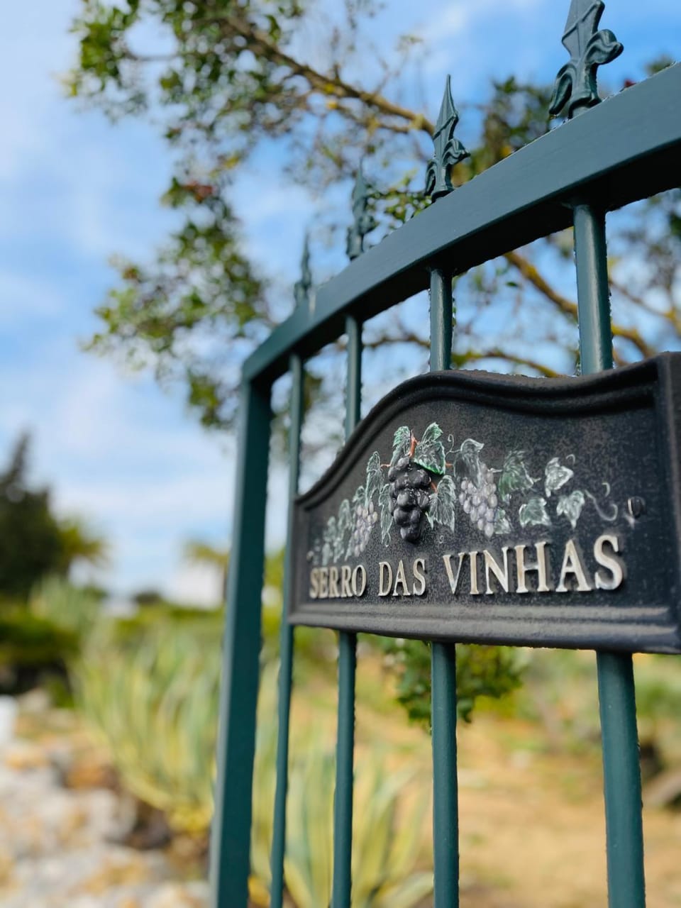 Villa Serro das Vinhas Villa in Mexilhoeira Grande