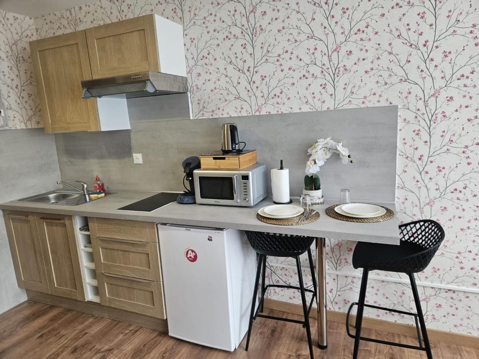 Studio Le Belvédère TURCKHEIM Apartment in Grand Est