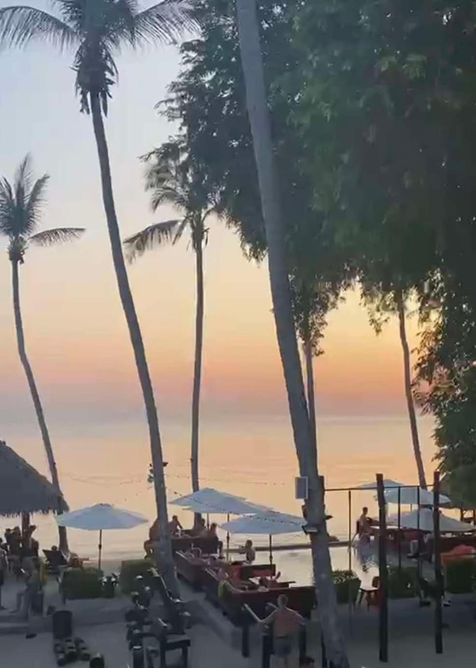 Wild Wood x Hansa Beach Fitness Resort Resort in Ban Tai