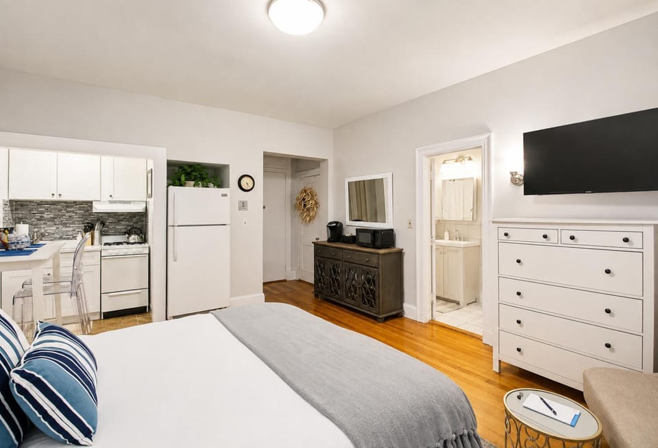 Spacious Studio, Coolidge Corner, Public Transpor Apartment in Brookline