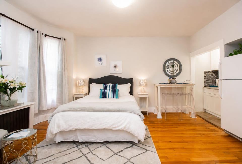 Spacious Studio, Coolidge Corner, Public Transpor Apartment in Brookline