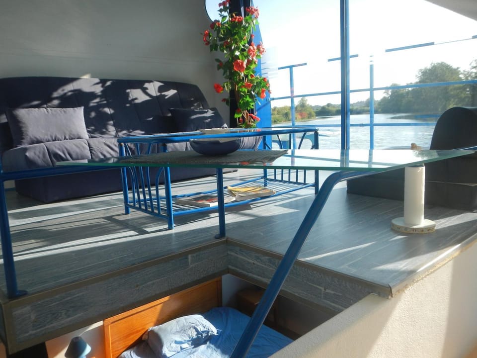 Maison flottante sur la seille Docked boat in Bourgogne-Franche-Comté