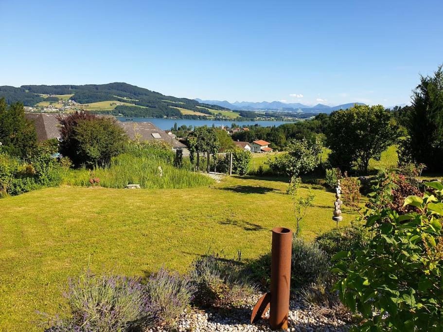 Lake view