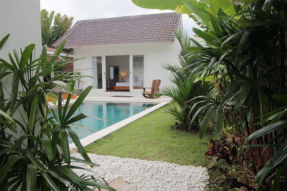 Property building, Garden, Garden view, Swimming pool