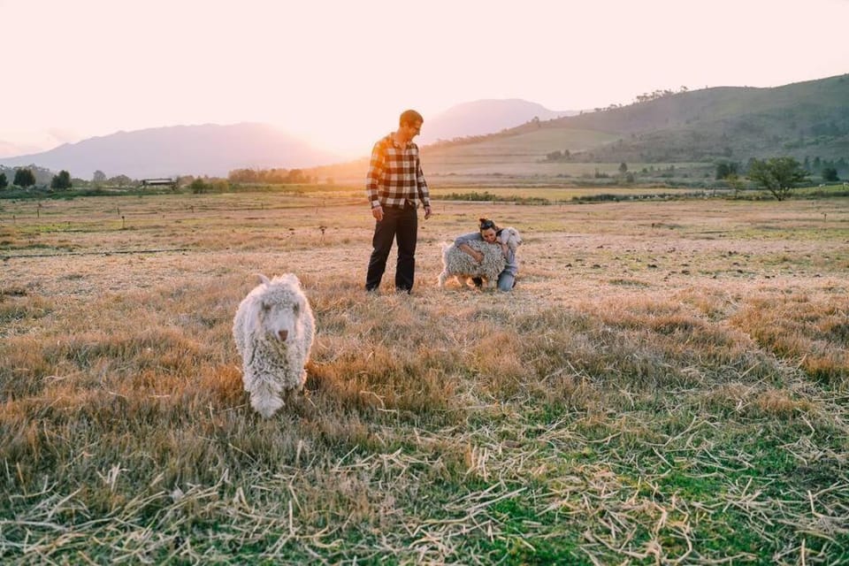 Farmstay at the Goat Shed Cottage, Spinlea Farm House in Western Cape