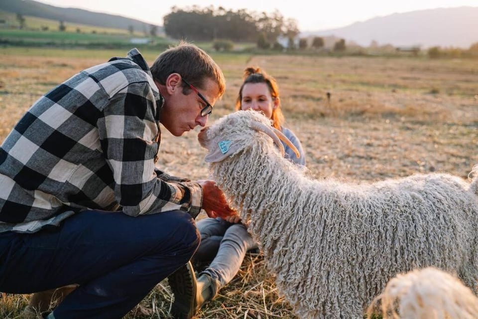 Farmstay at the Goat Shed Cottage, Spinlea Farm House in Western Cape