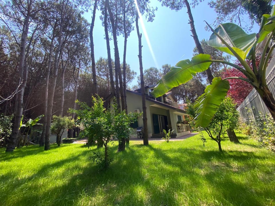 Natural landscape, Garden, Garden view