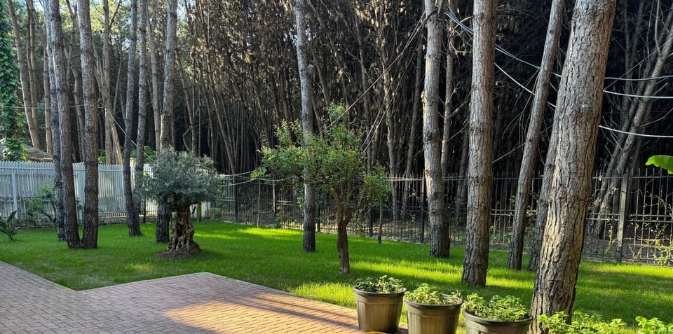 Natural landscape, Garden, Garden view