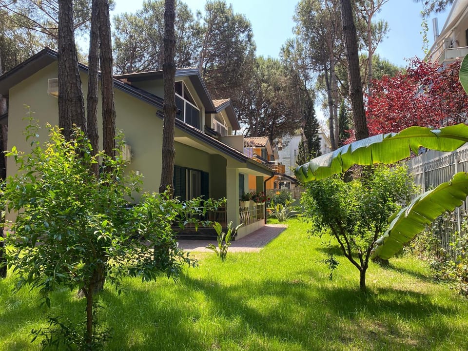 Property building, Natural landscape, Garden, Garden view