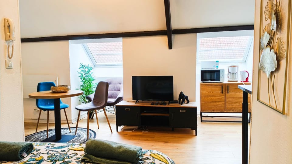 Le Perché - Studio - Centre - Fac de Science Apartment in Lens