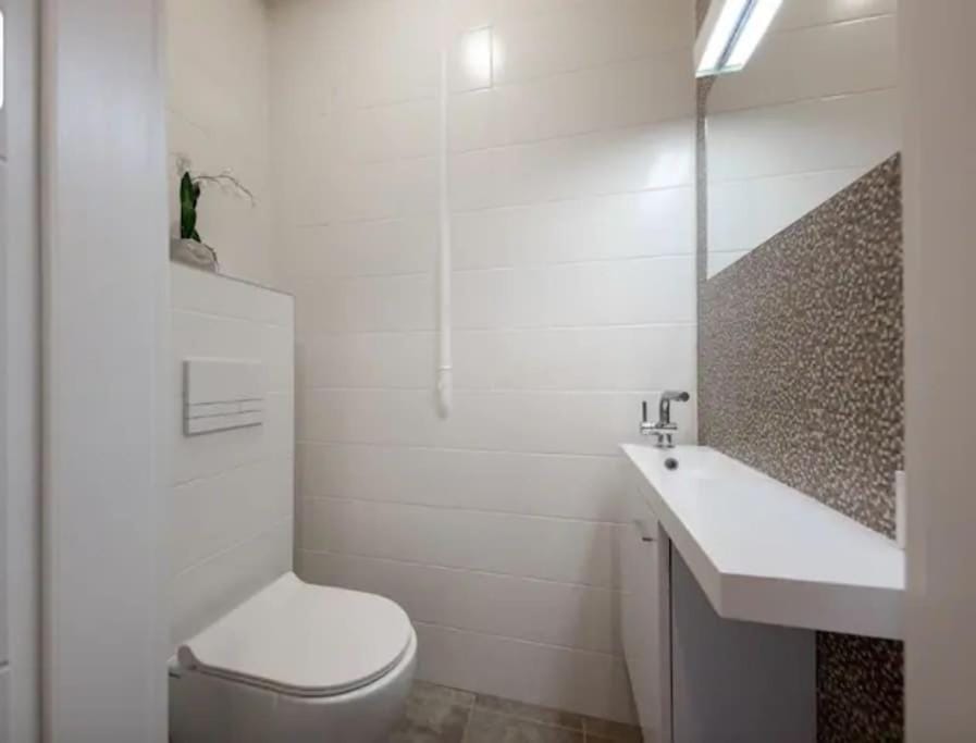Huge appartment in central Vilnius Apartment in Vilnius