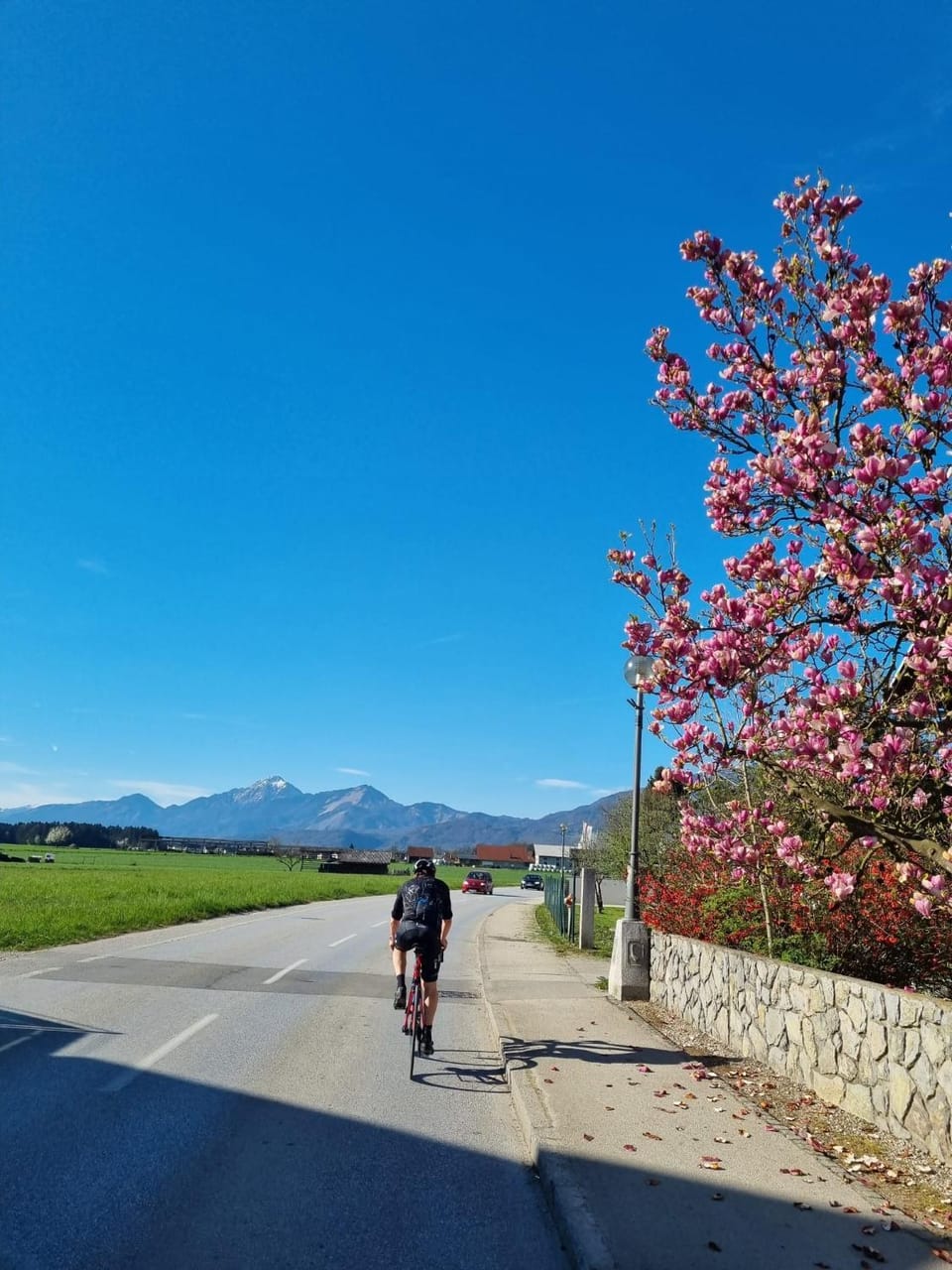 Spring, Cycling