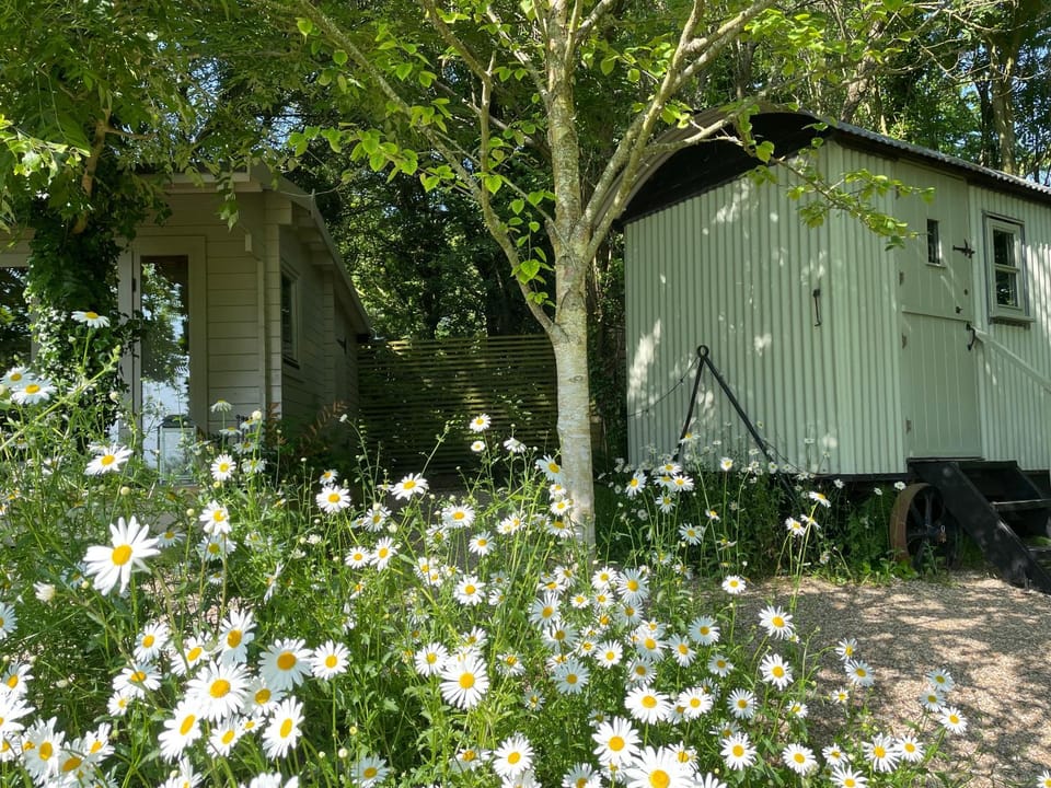 The Hide on the Vineyard with wood fired hot tub Option House in West Dorset District