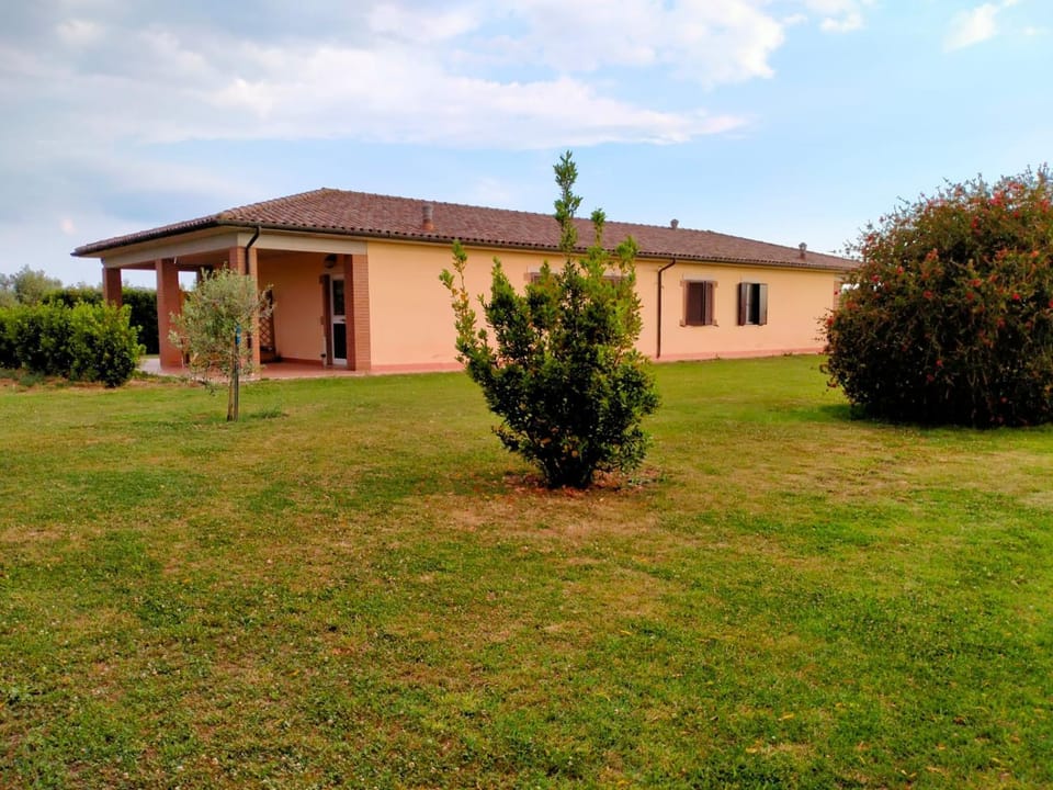 Property building, Garden, Garden view